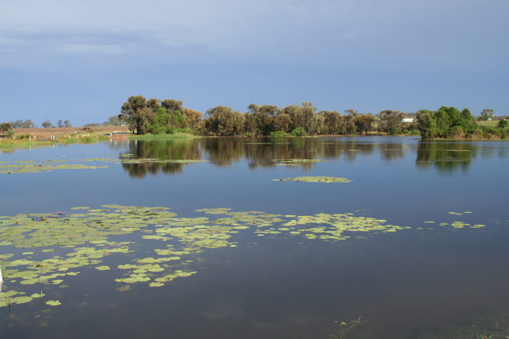 Wetlands are a dominating landscape of the Fitzroy Basin