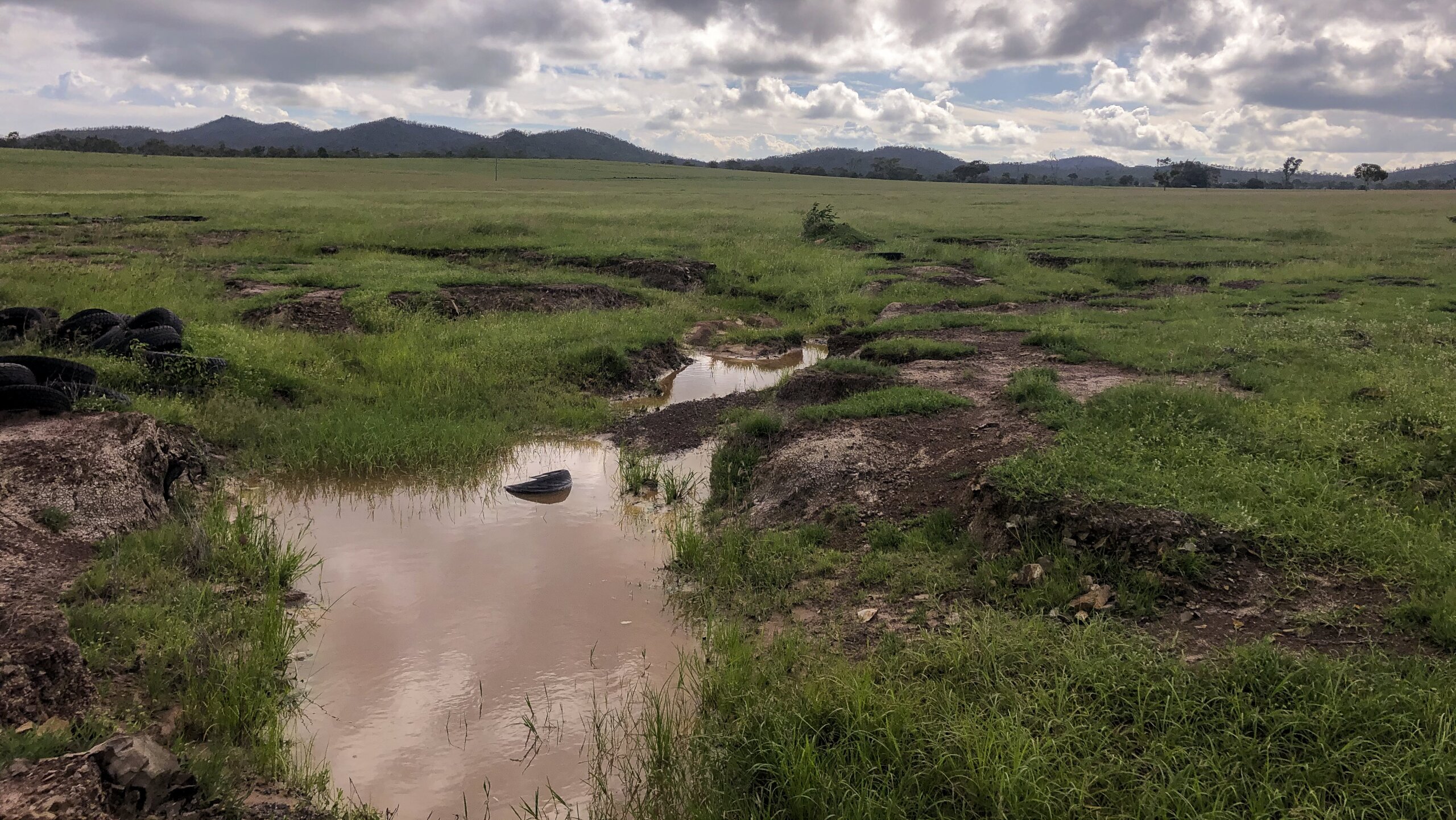 Gully before works in 2020