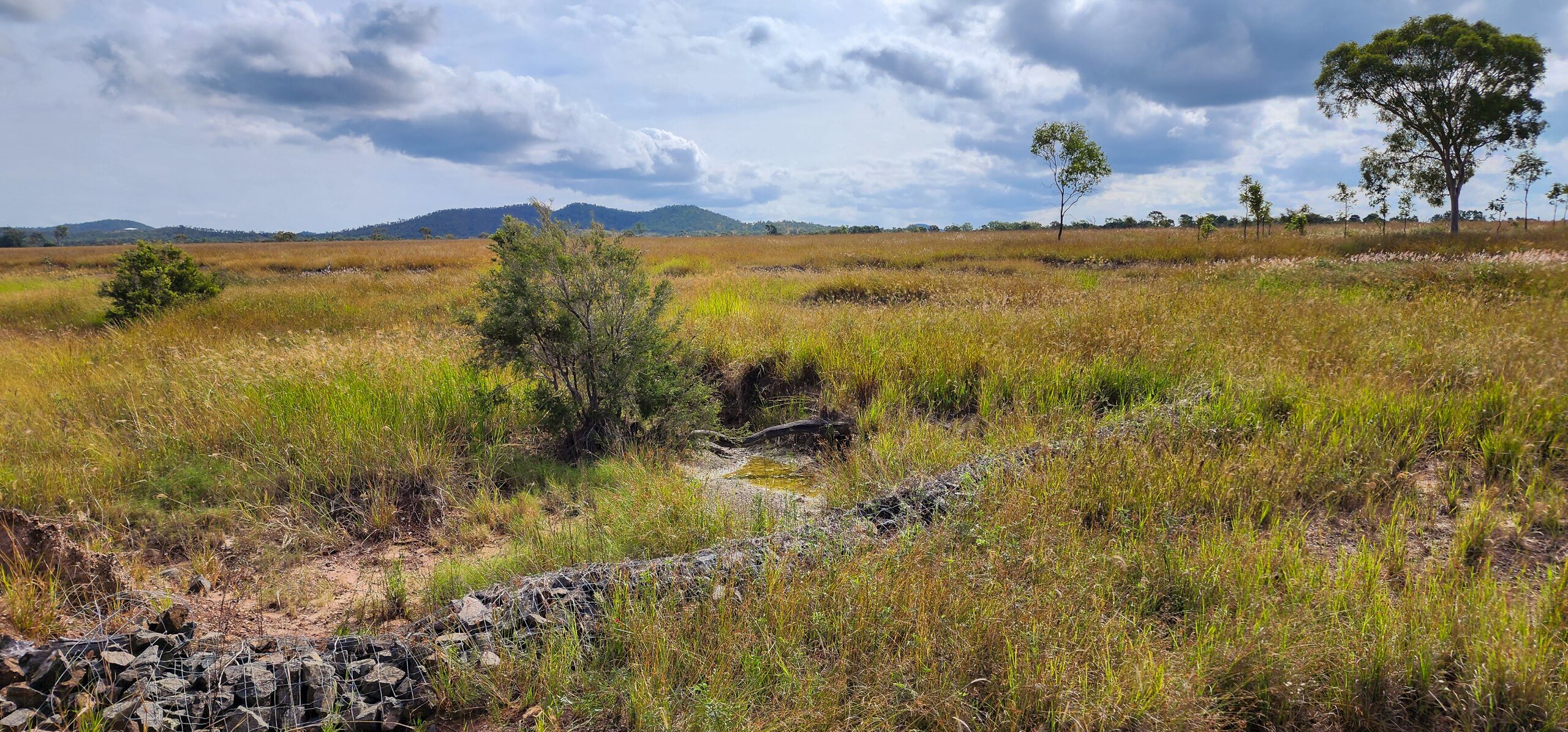 Restored gully using erosion control methods at Sandringham