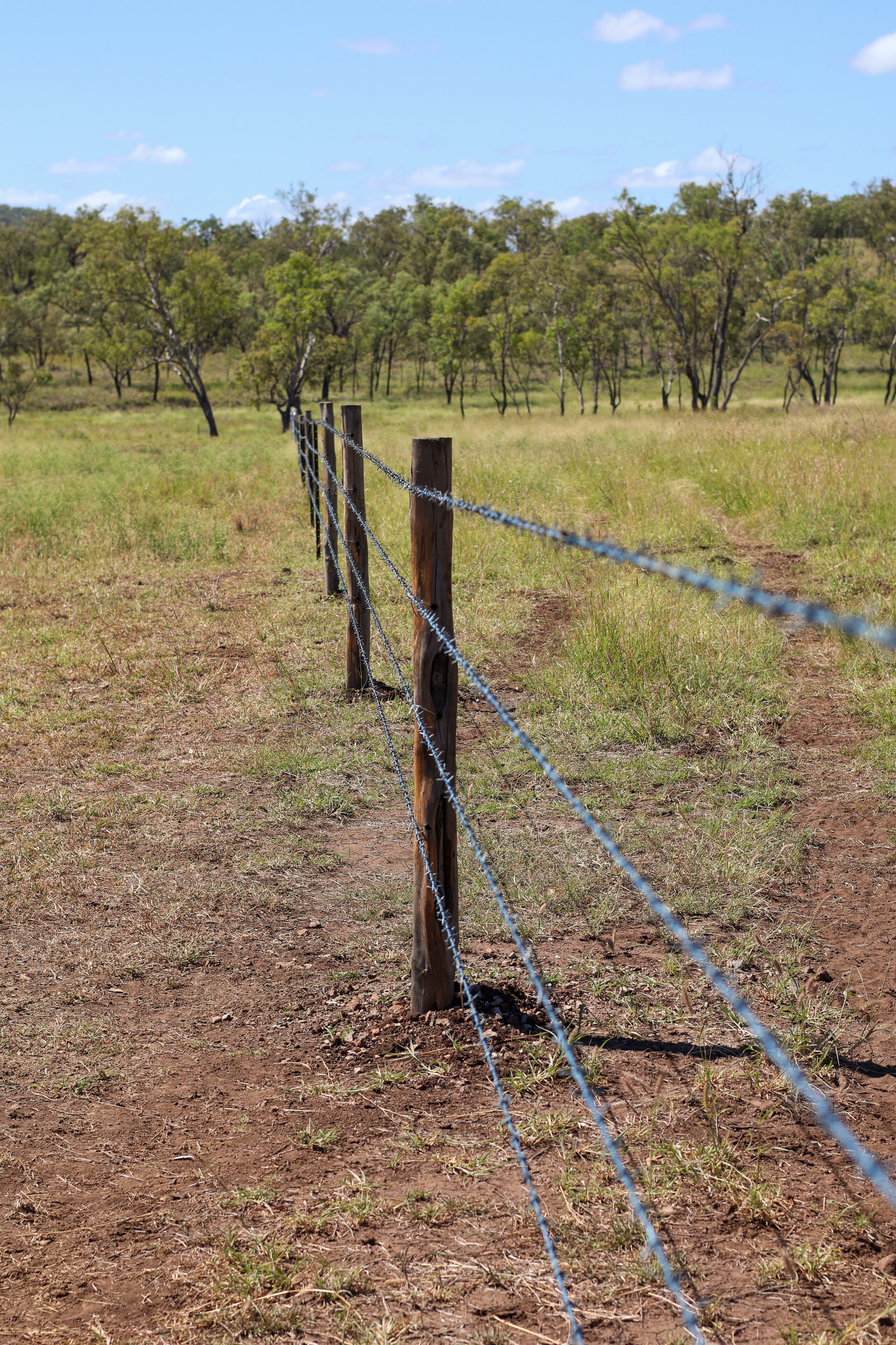 New fencing on central Queensland property The Pocket
