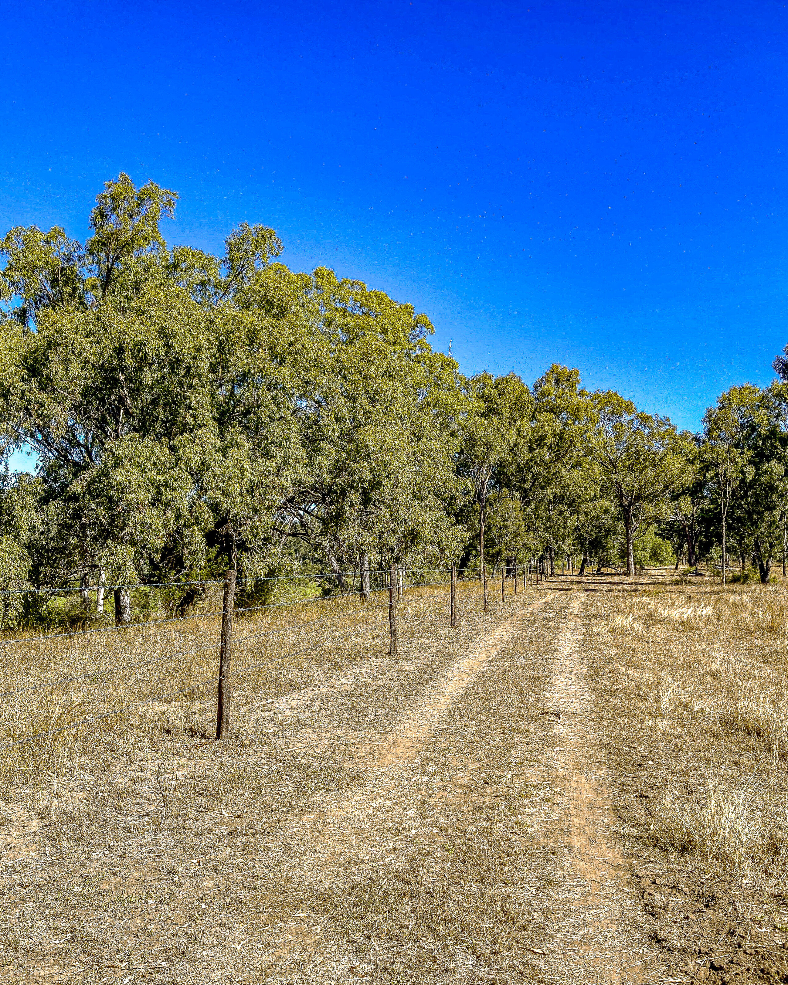 Fencing infrastructure installed at central Queensland property Aeroview