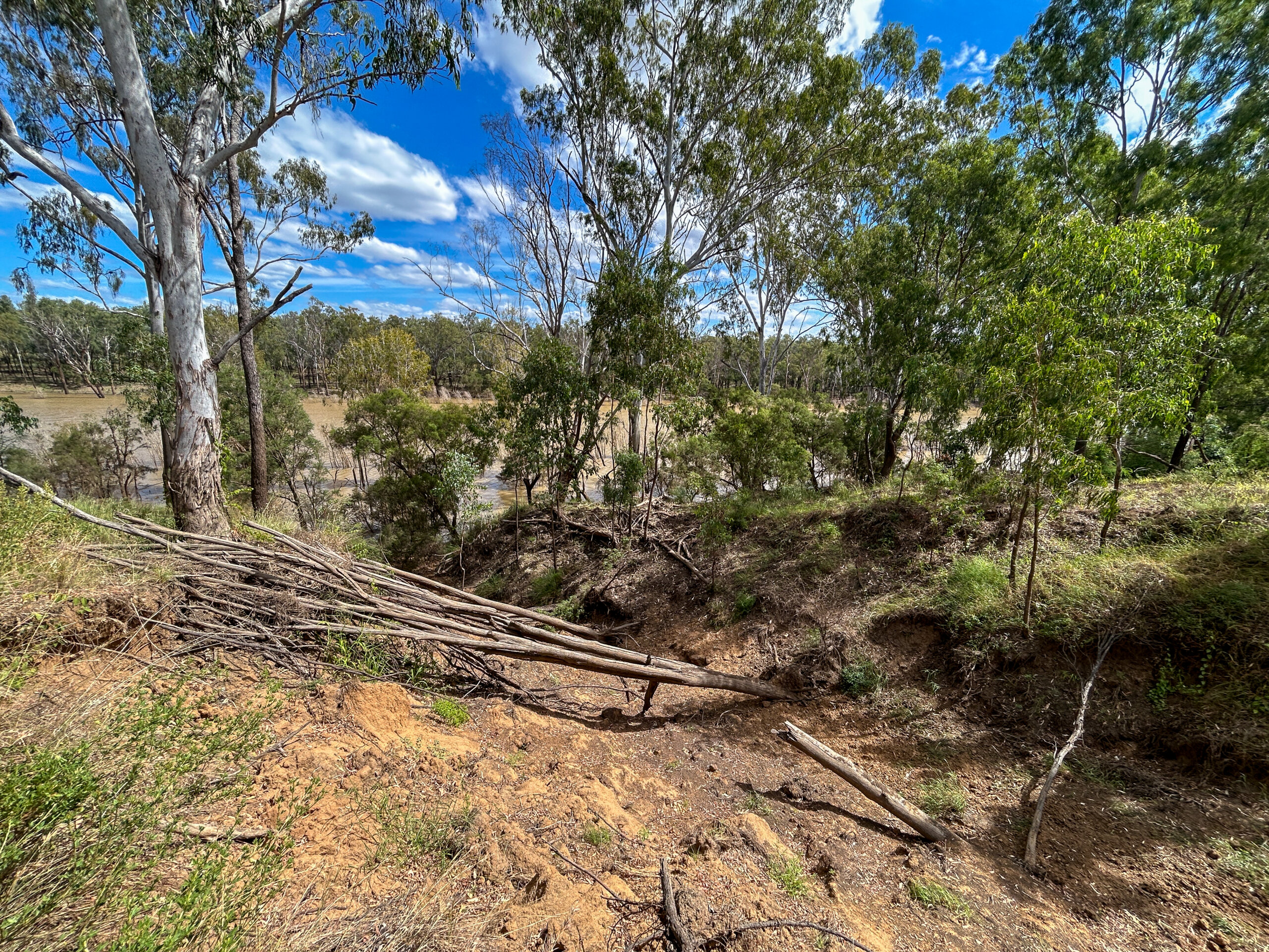 Erosion occurring along the Fitzroy River.