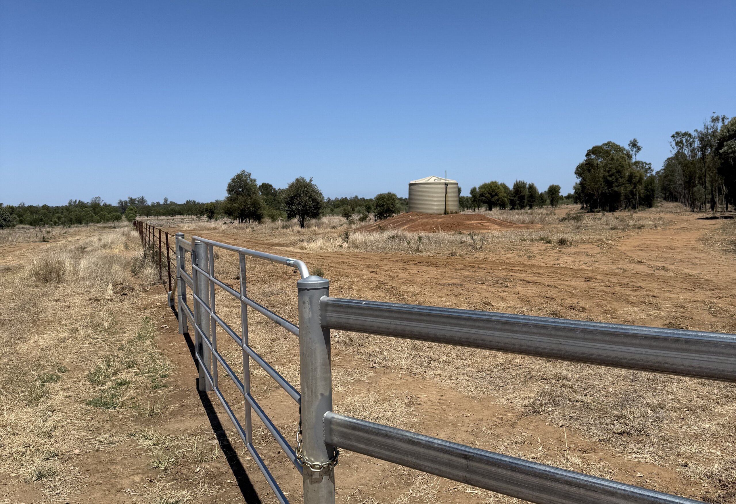 Freshly installed fence on a central Queensland property