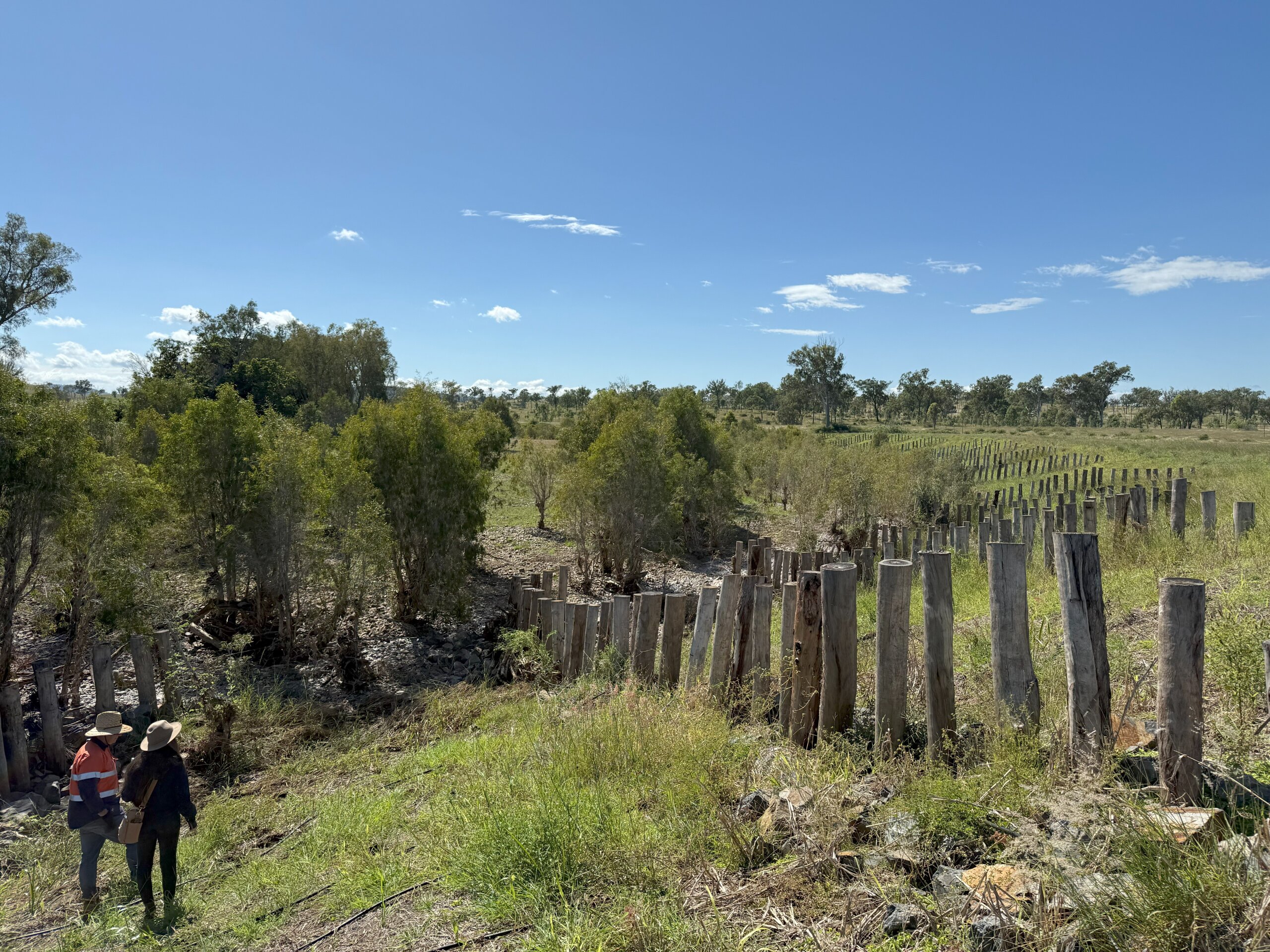 Revegetation work taking hold 2025