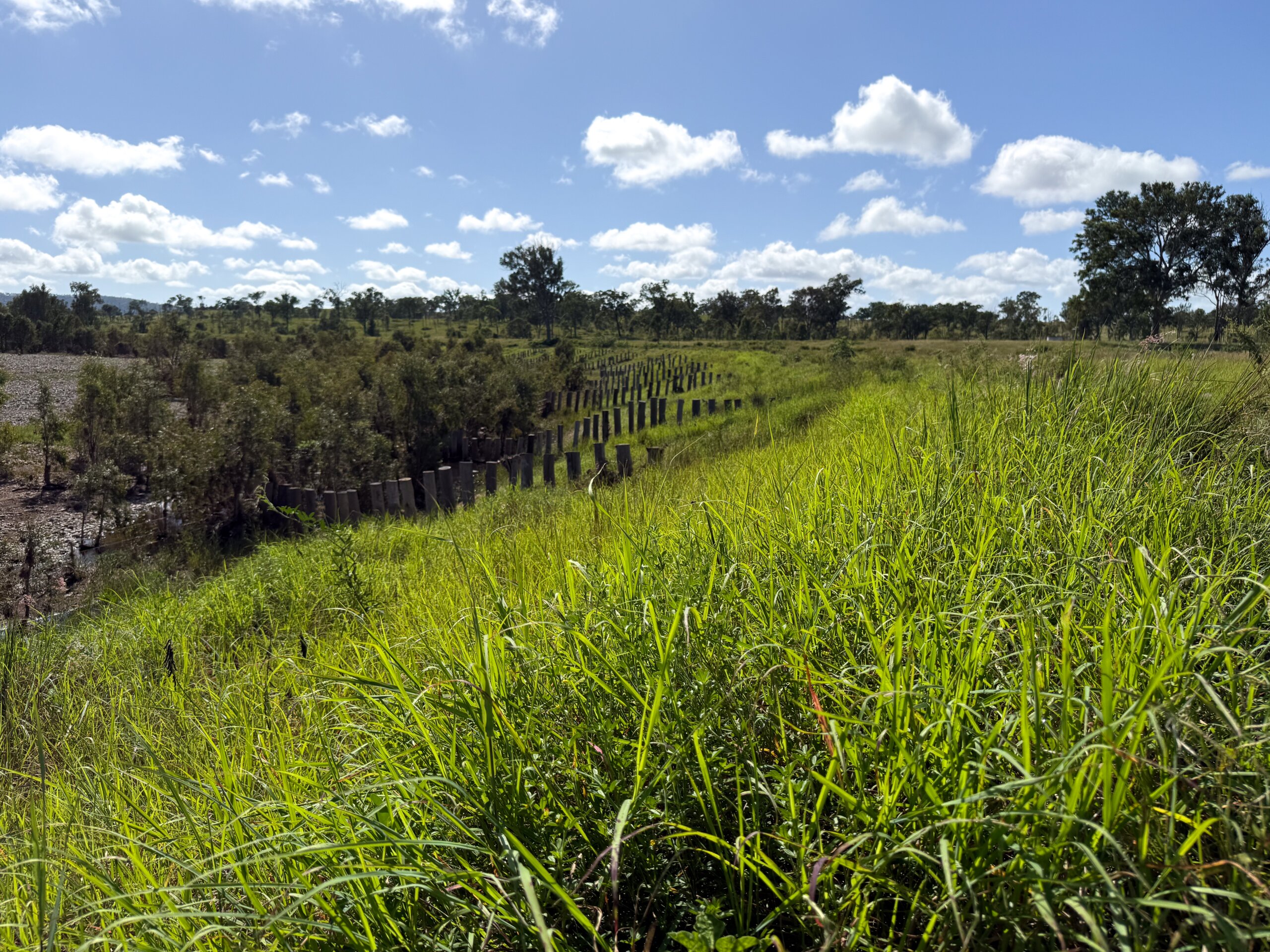Established revegetation work at six mile 2026