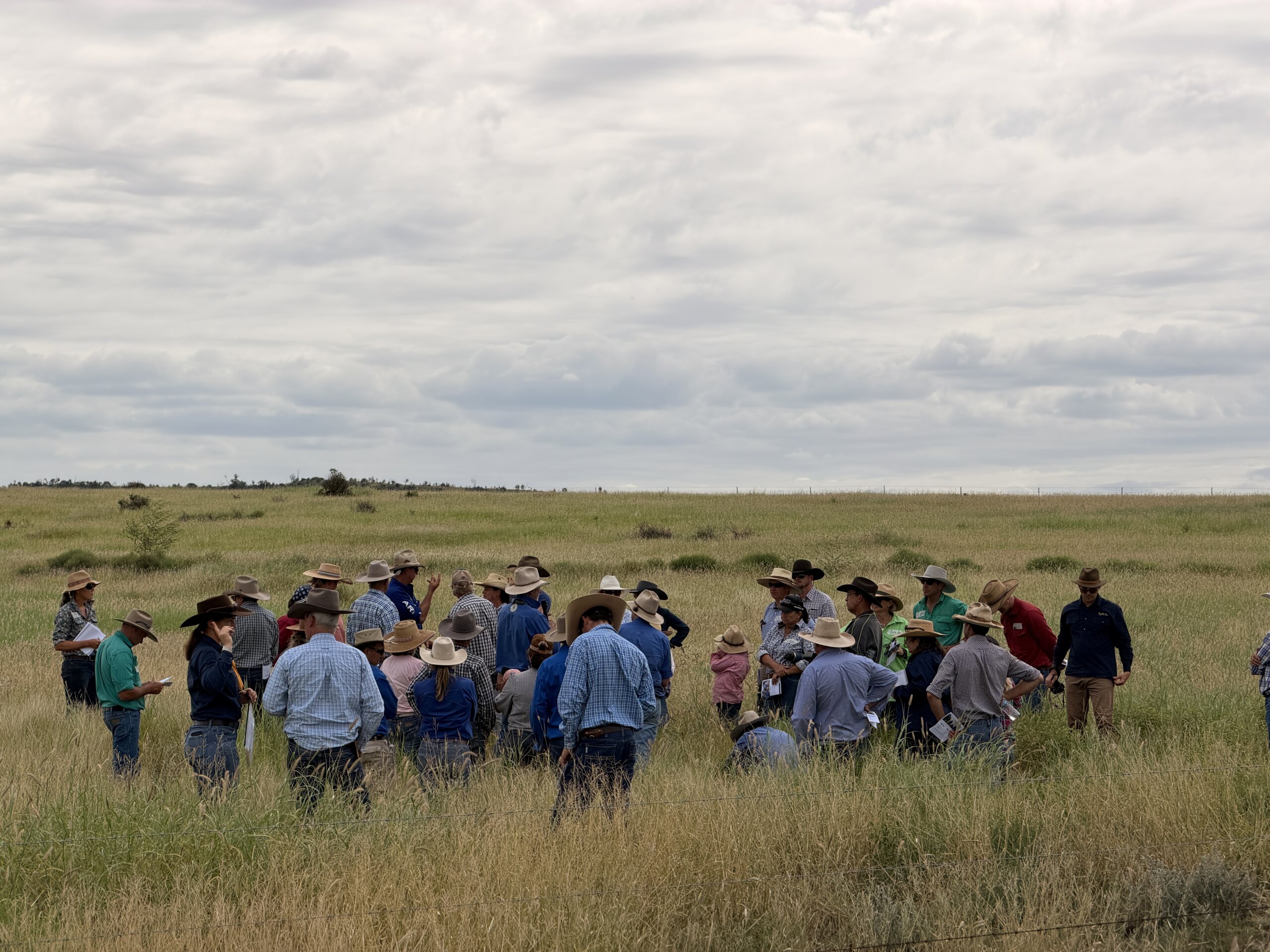 Land managers during an FBA workshop in the field