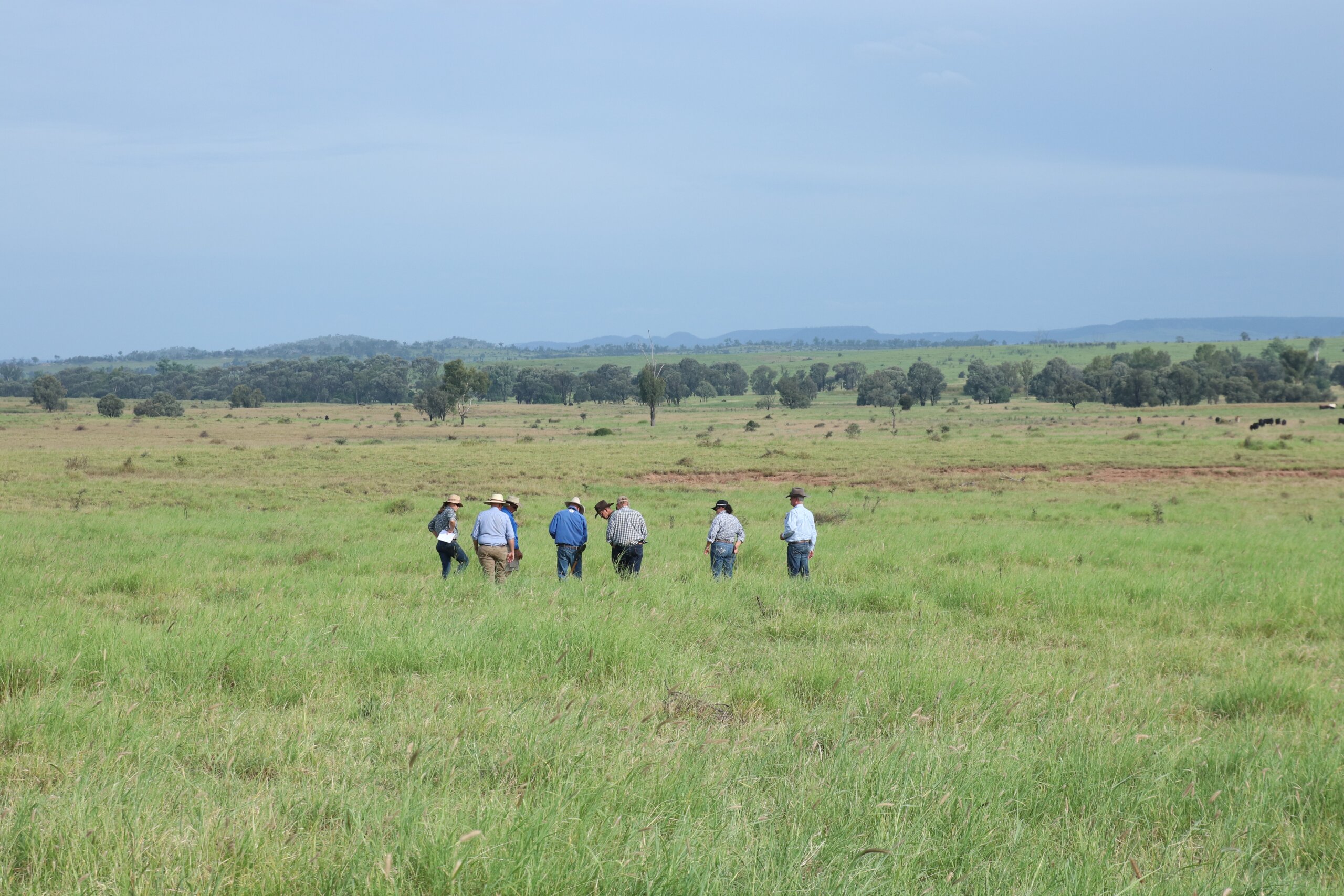 land managers in a paddock during a grazing workshop