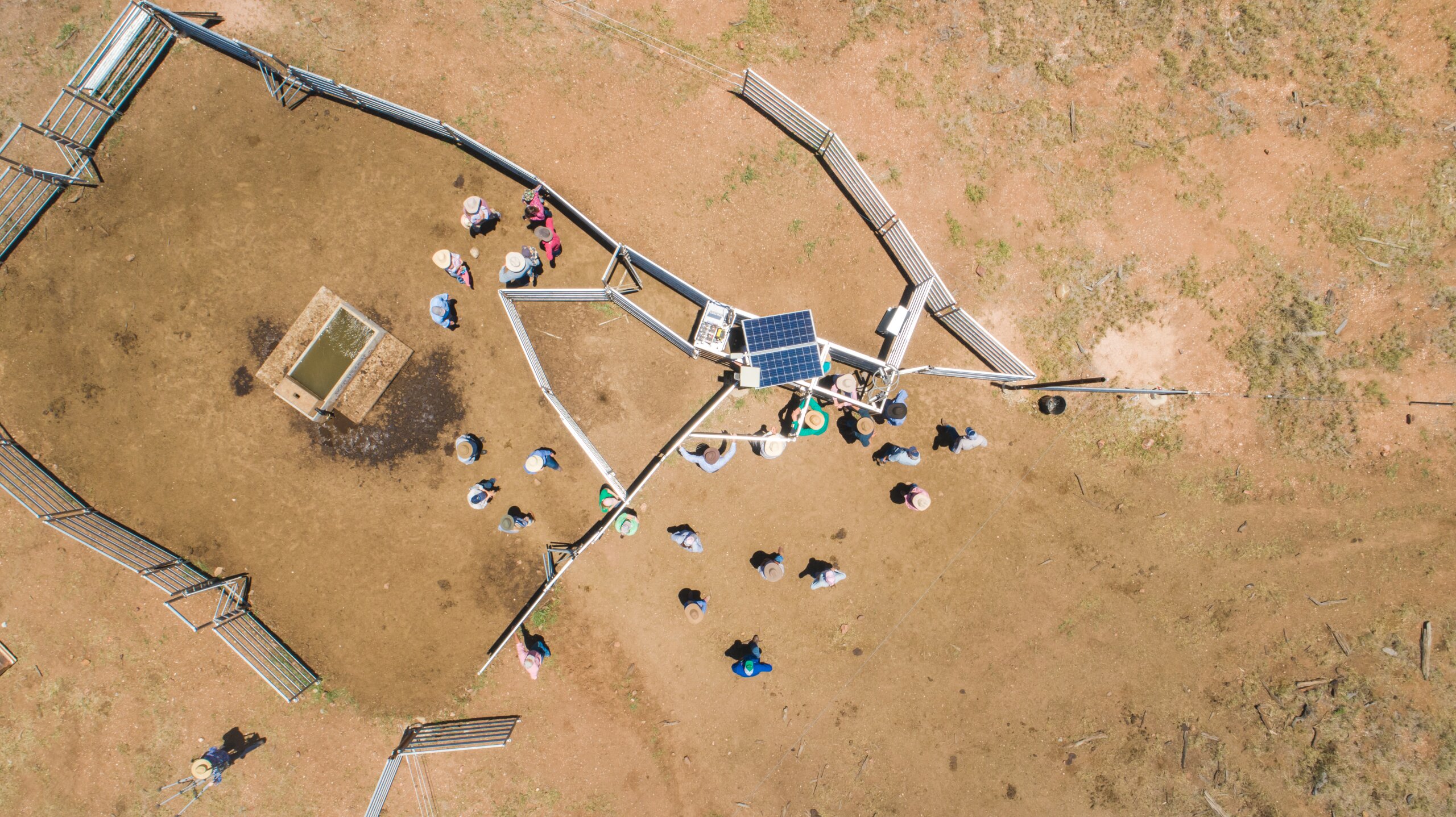 Aerial photography of people standing in a cattle yard during an FBA event