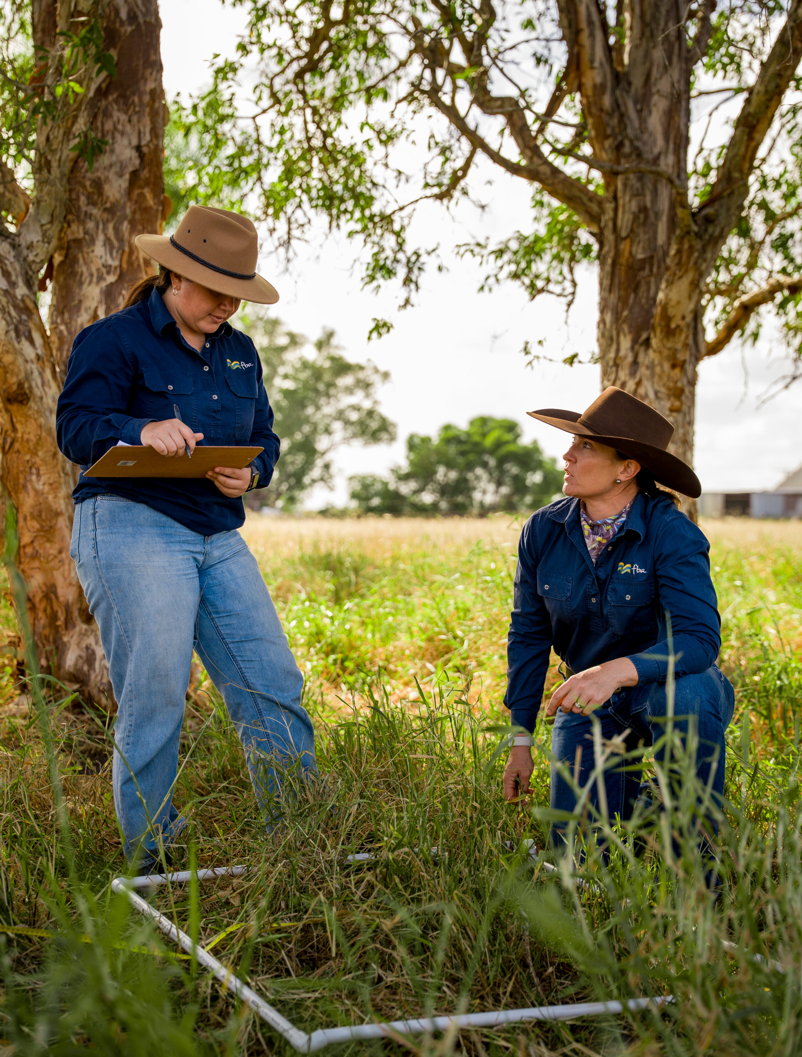 FBA staff members inspecting native grass
