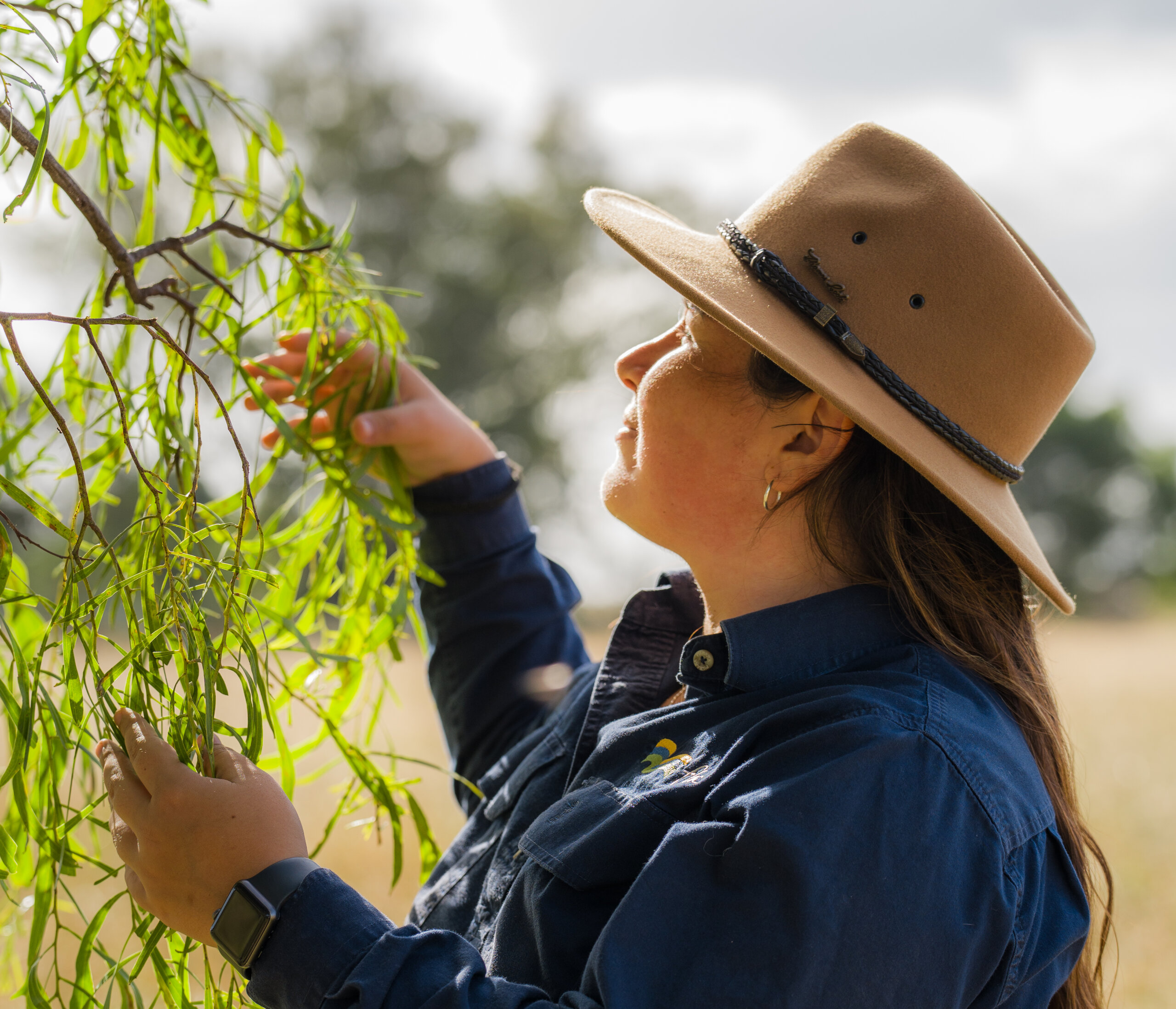 An FBA staff member inspecting a tree
