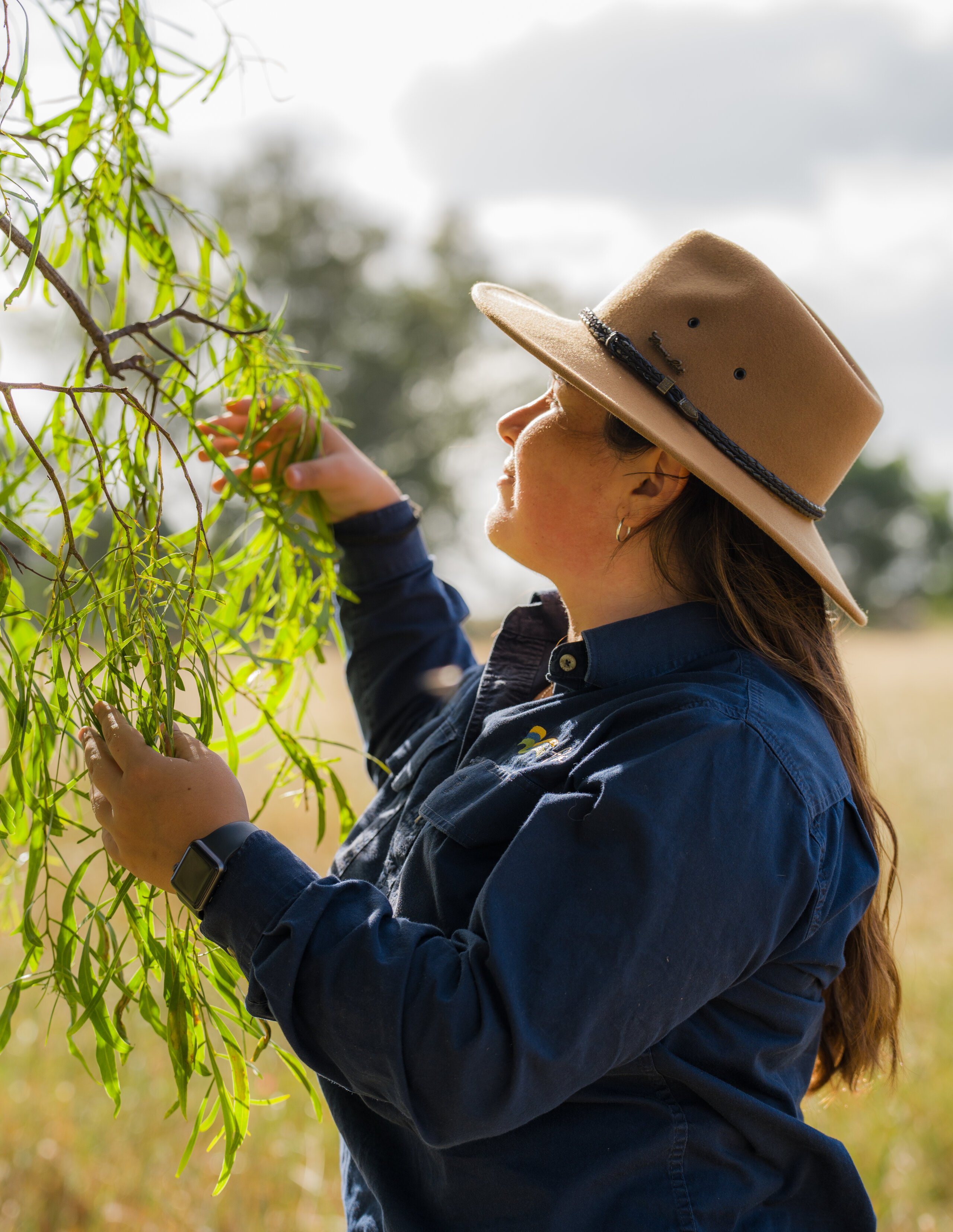 FBA Project Officer inspecting an Australian native plant