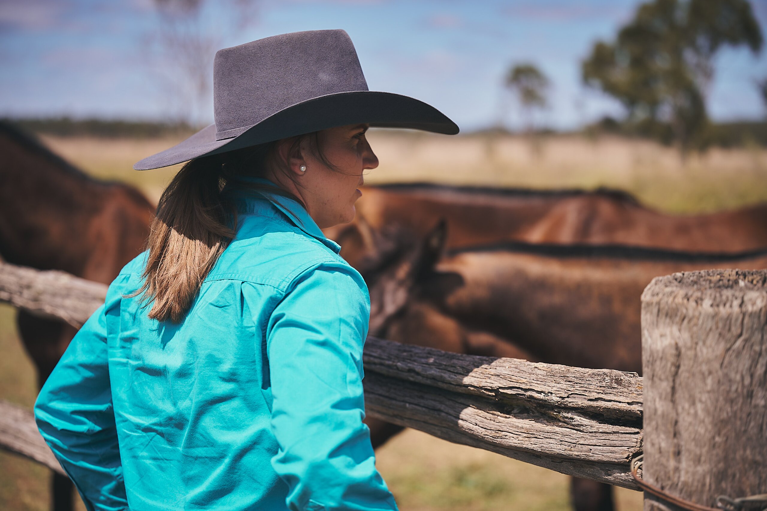 An FBA staff member looks over a fence at some horses in a paddock.