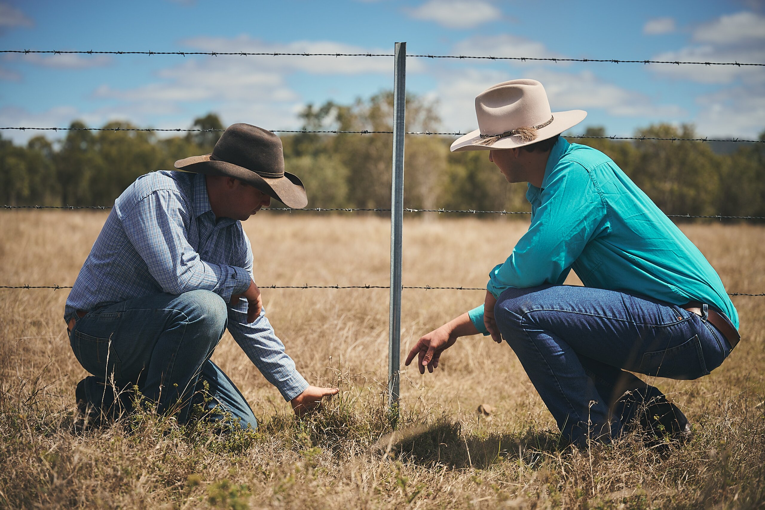 A land manager and an FBA staff member kneel to inspect some grass by a barbed-wire fence.