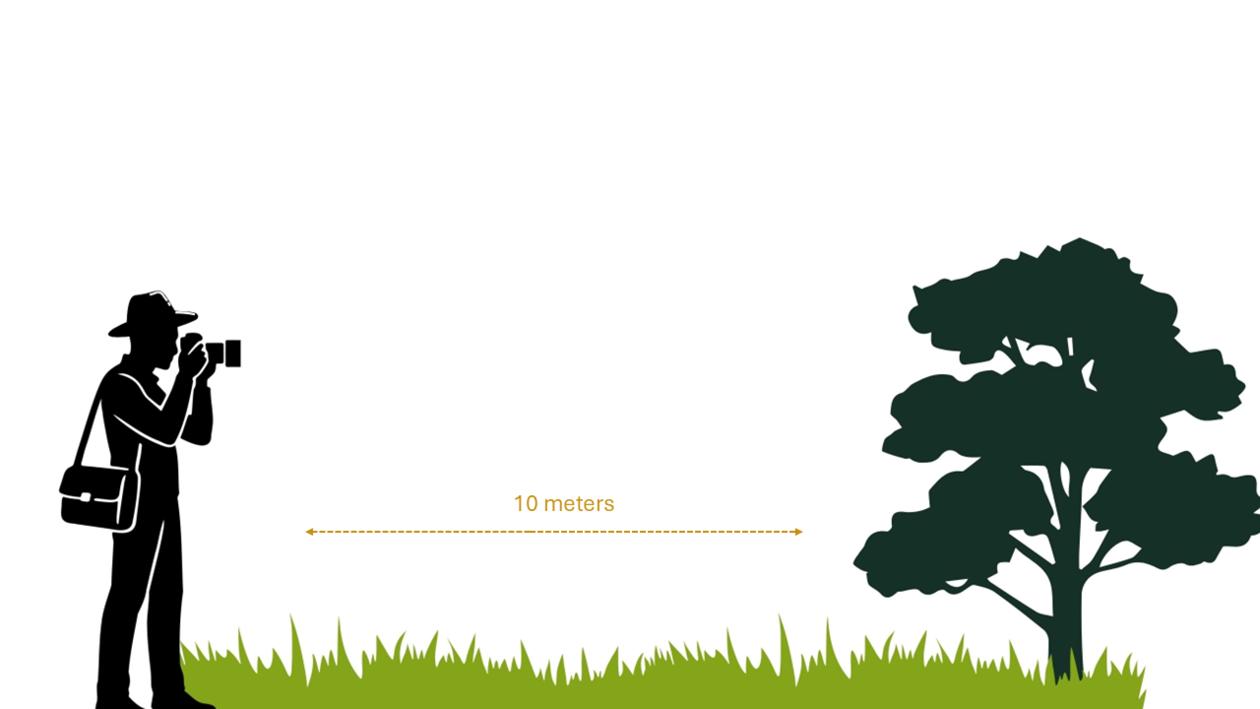 project officer capturing photos