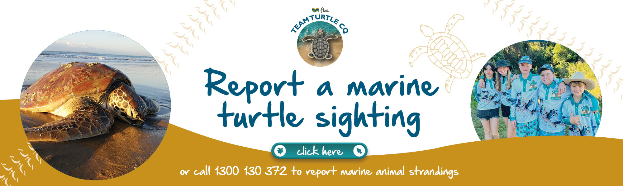 FBA266 Report a marine turtle sighting_WEB BANNER_2000X600_DRAFT