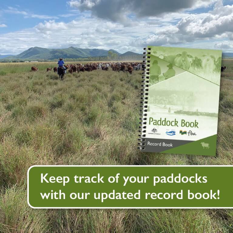 Paddock Book - mobile website banner