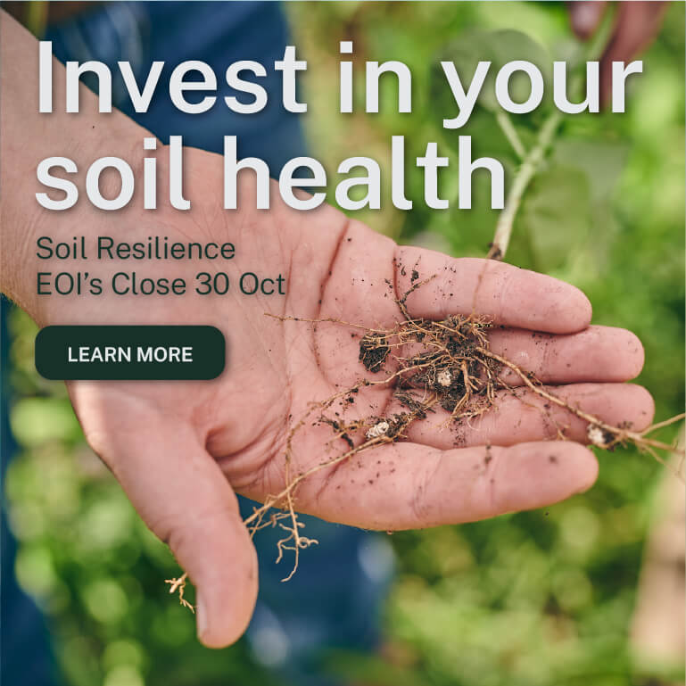 Hands holding soil