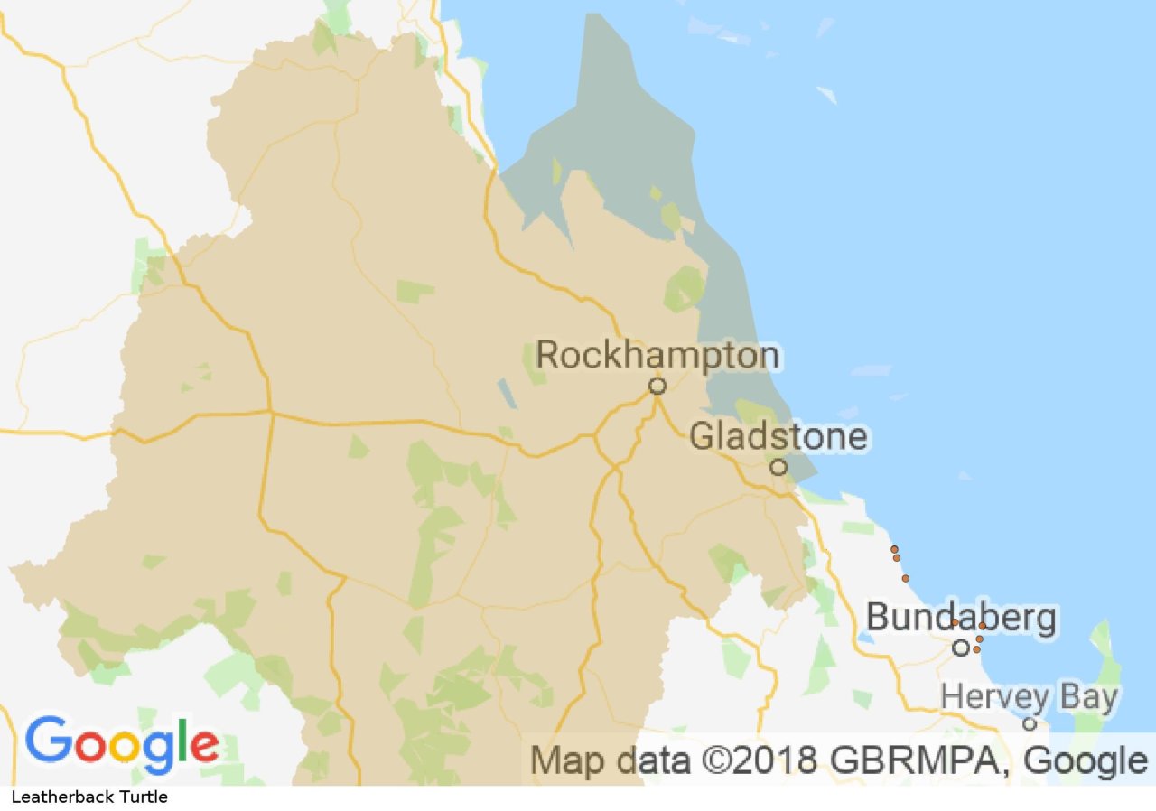 distribution-map-leatherback-turtle-fitzroy-basin-association