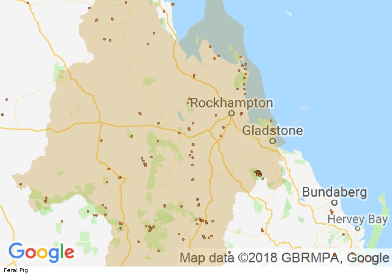 Distribution map Feral Pig | Fitzroy Basin Association