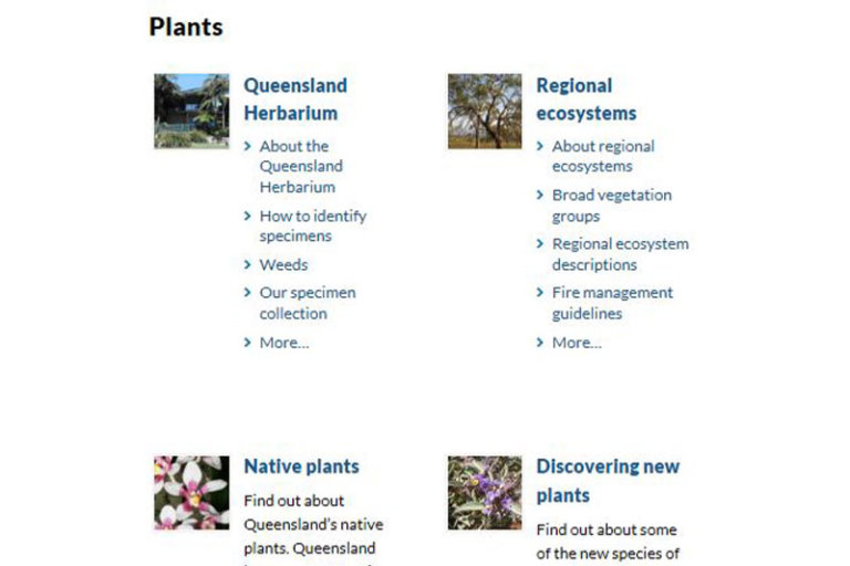 More Native Plants - Fitzroy Basin Association