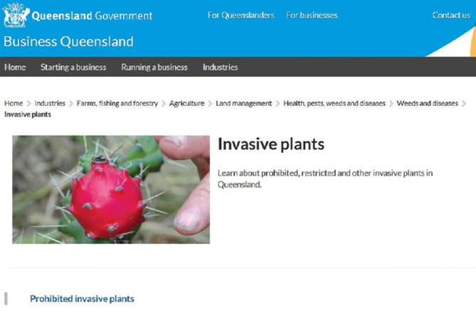 Invasive-plants - Fitzroy Basin Association