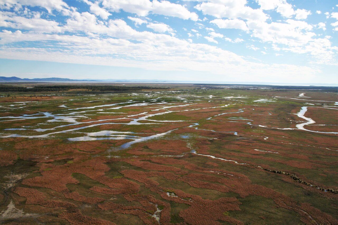 DIY – World Wetlands Day - Fitzroy Basin Association