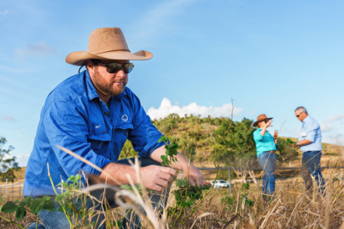 a land holder talking with a land manager