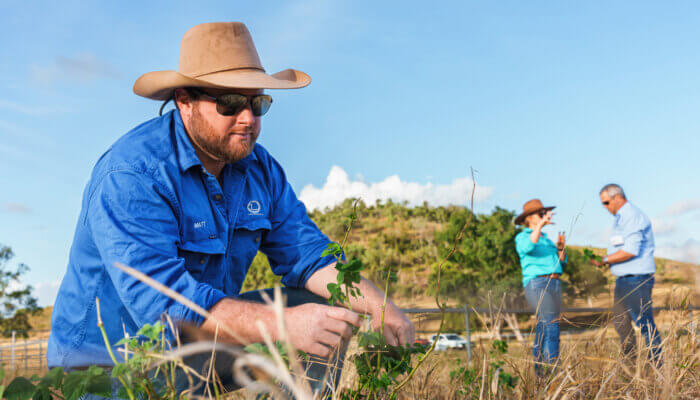 a land holder talking with a land manager