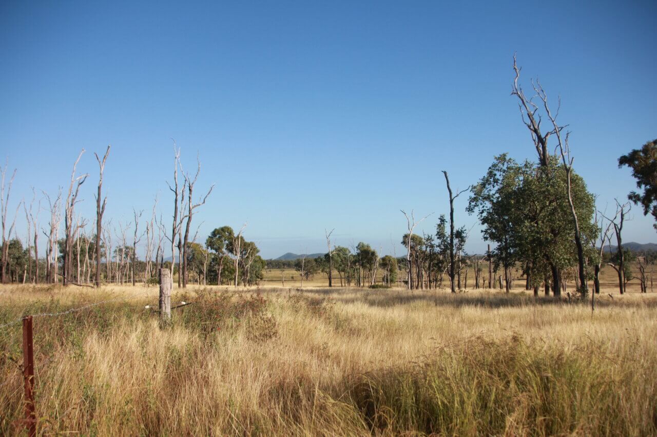 drought landscape